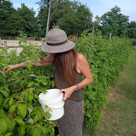 Bella Vista -malpensa Airport-leonardo- Apartman Varallo Pombia