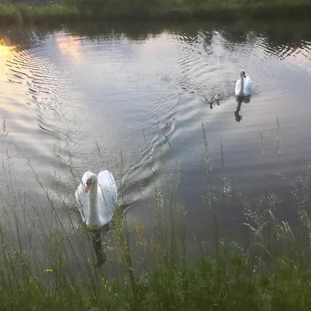 Bella Vista -malpensa Airport-leonardo- * Varallo Pombia