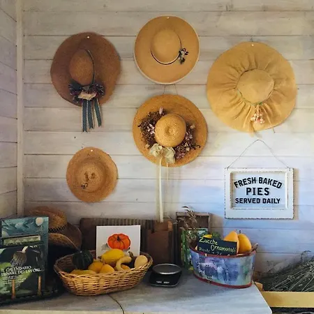 Bella Vista -malpensa Airport-leonardo- Varallo Pombia