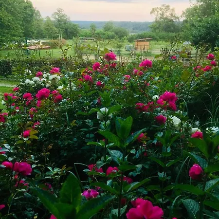 Bella Vista -malpensa Airport-leonardo- Apartman