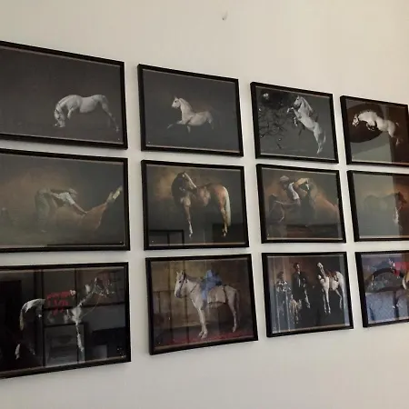 Apartman Bella Vista -malpensa Airport-leonardo- Varallo Pombia