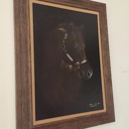 Apartman Bella Vista -malpensa Airport-leonardo- *