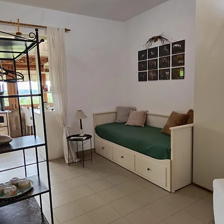 Tenuta Blueberry - Glicine Apartment Varallo Pombia