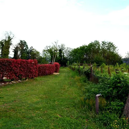 Apartment Tenuta Blueberry - Glicine Varallo Pombia