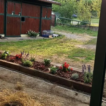 Tenuta Blueberry - Glicine Apartment